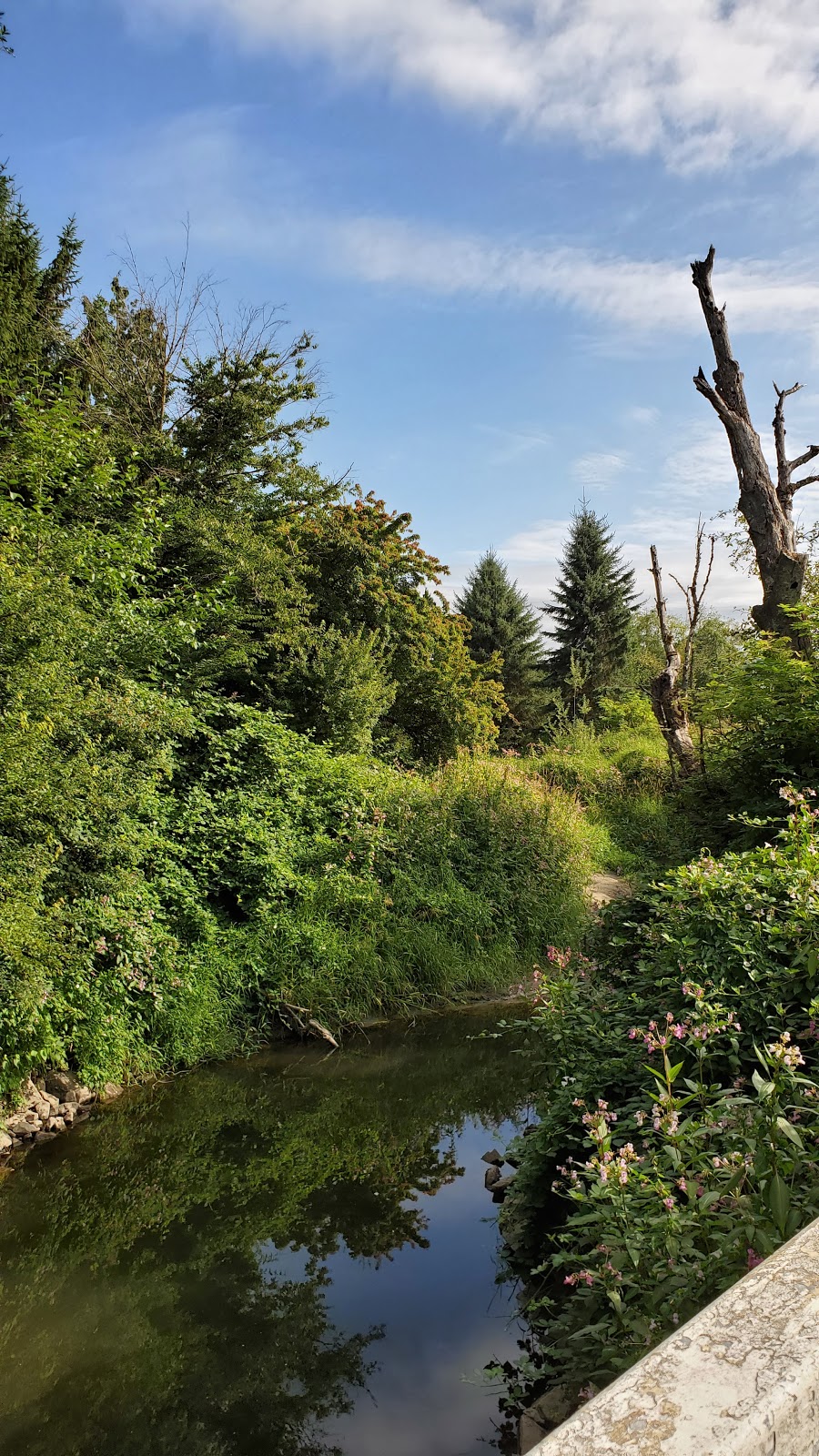 Nicomekl River Suspension Bridge | Langley, BC V3A 9H1, Canada | Phone: (604) 514-2912
