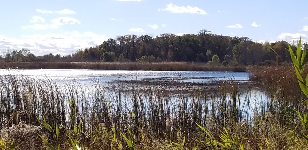 Wetzel State Recreation Area | 27 Mile Rd, New Haven, MI 48048, USA | Phone: (810) 765-5605