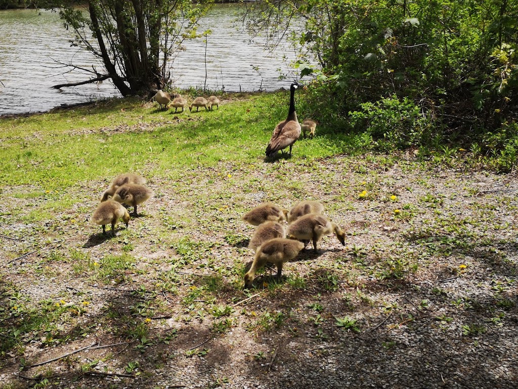 Merritt Island Park | Welland Canal Trail, Welland, ON L3B, Canada | Phone: (905) 732-6333