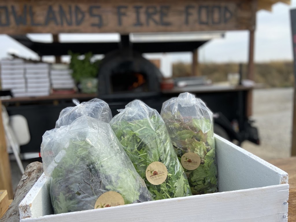 Lowlands Fire Food | 2867 Bridle Rd N, Oshawa, ON L1H 7K4, Canada | Phone: (416) 917-7793