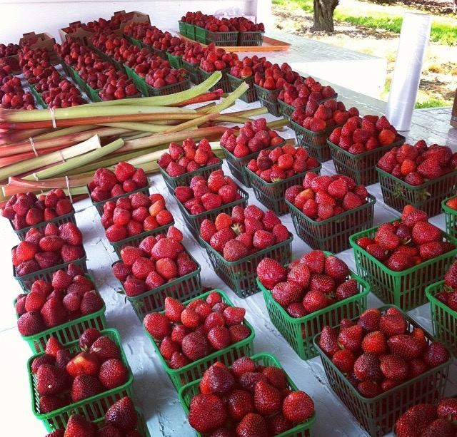 Quiet Acres | 672 Lakeshore Rd, Niagara-on-the-Lake, ON L0S 1J0, Canada | Phone: (905) 651-4232