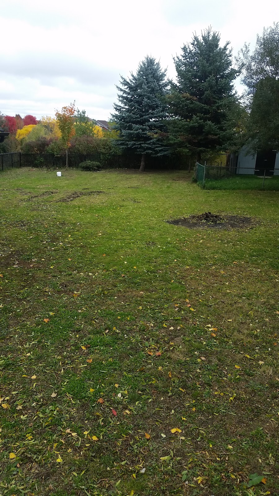 Drool Enterprises Ltd. | Bayview Avenue, Aurora, ON L4G 0K9, Canada | Phone: (905) 713-0059