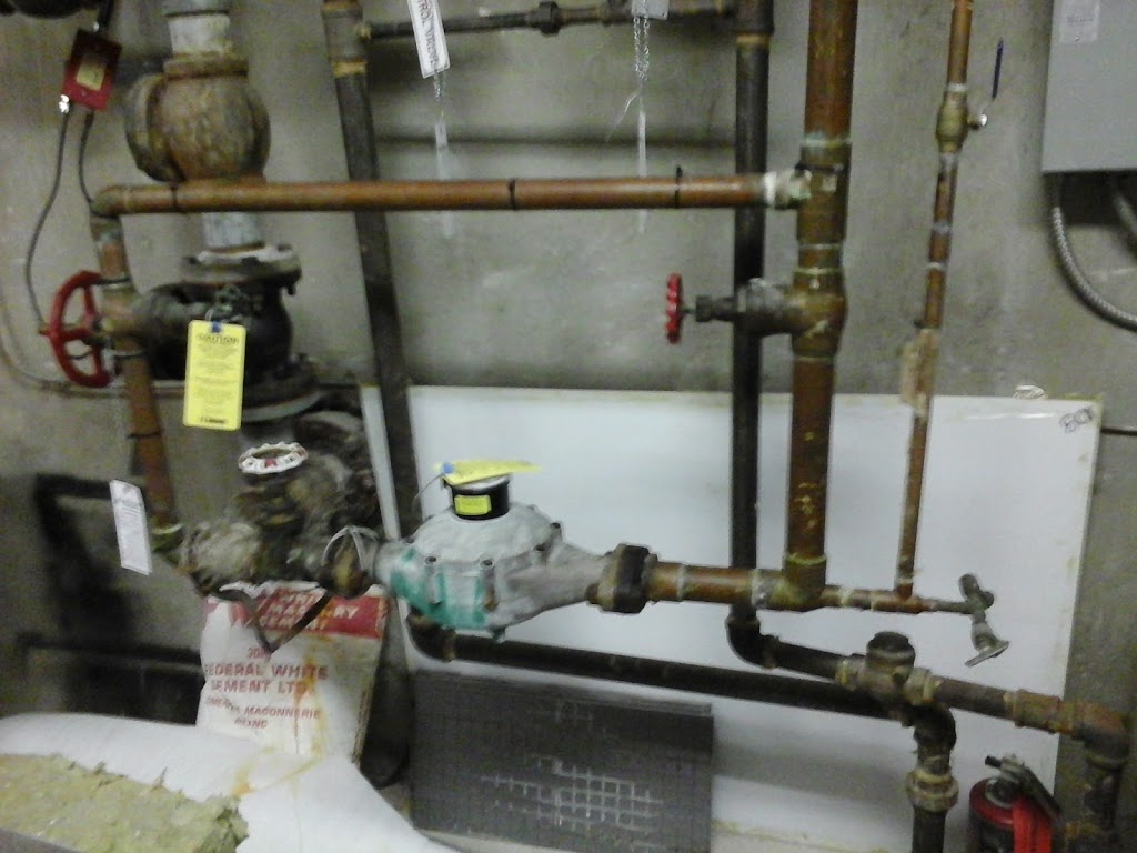 AMIGO PLUMBING | 68 Bunnell Crescent, North York, ON M3M 2C1, Canada | Phone: (416) 890-3367
