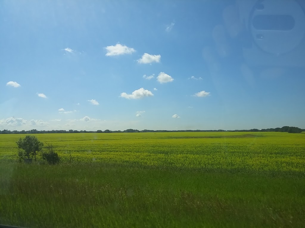 Namao Auto & RV Repair | 24400 AB-37, Sturgeon County, AB T8T 0E9, Canada | Phone: (780) 973-3373