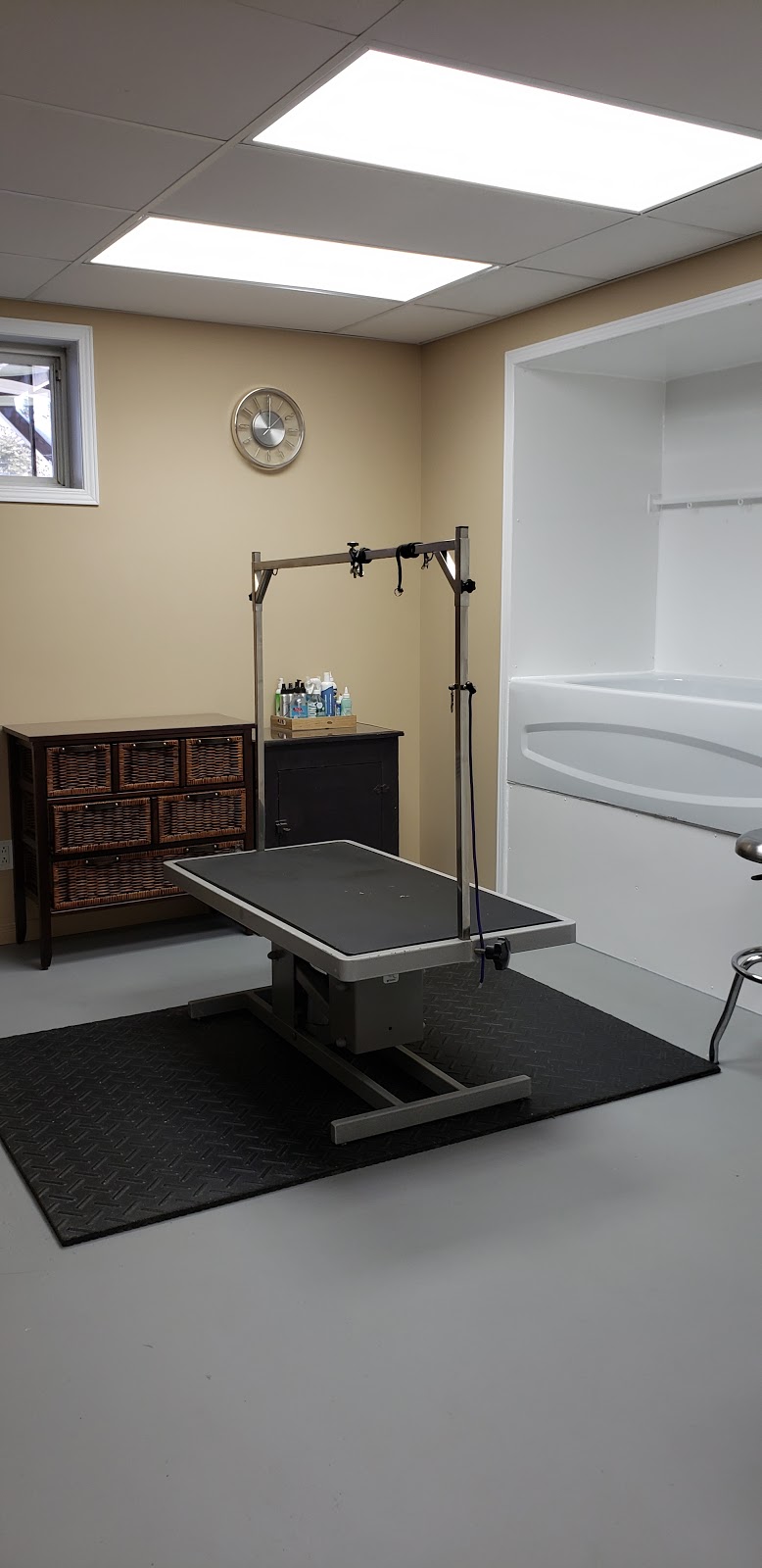 Toilettage Caro-Canin | 252 5e Rang, Saint-Ferdinand, QC G0N 1N0, Canada | Phone: (819) 362-5567