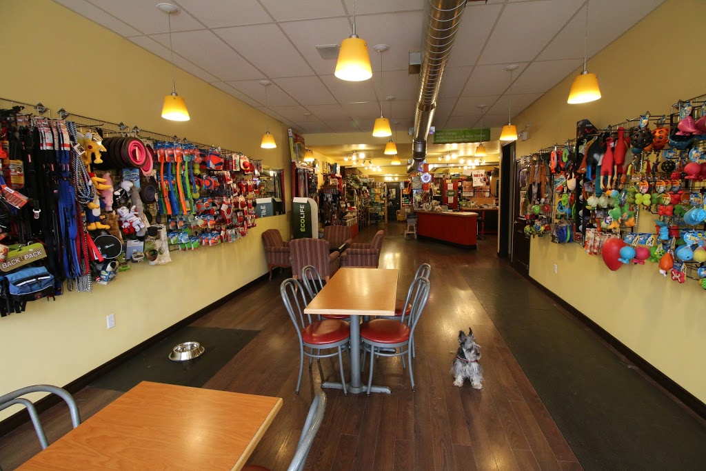 Heidi et Cie - Longueuil | 1270 Rue Sainte-Hélène, Longueuil, QC J4K 3S6, Canada | Phone: (450) 616-2267