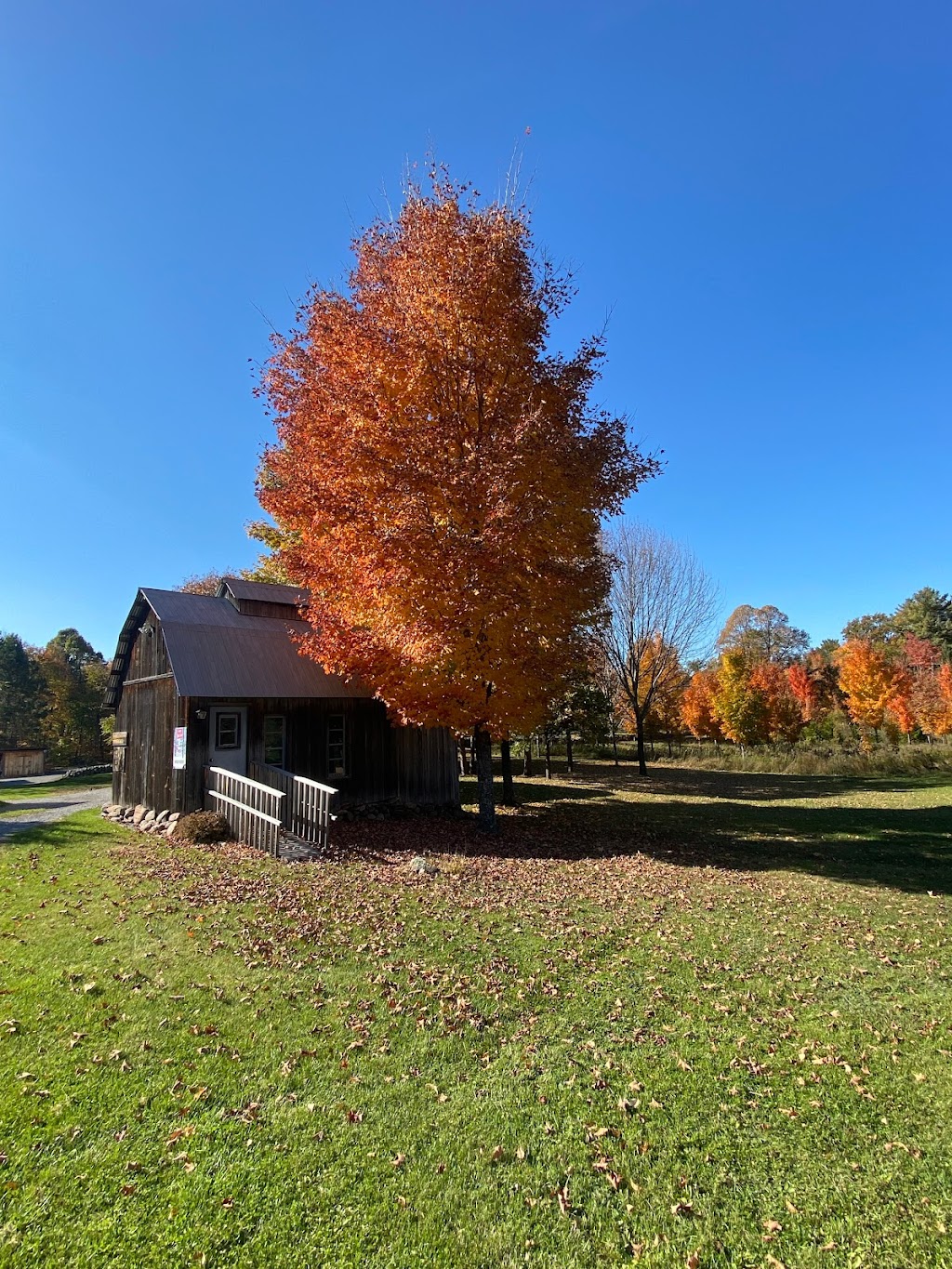 Mapleside Sugar Bush | 166 Reiche Rd, Pembroke, ON K8A 6W4, Canada | Phone: (613) 735-2366
