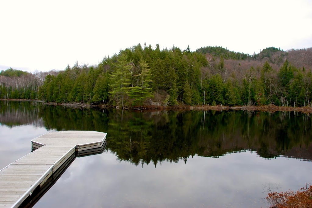 Domaine Stevenson - Manson & Cottage | 1770 Route Principale, La Conception, QC J0T 1M0, Canada | Phone: (514) 758-0808