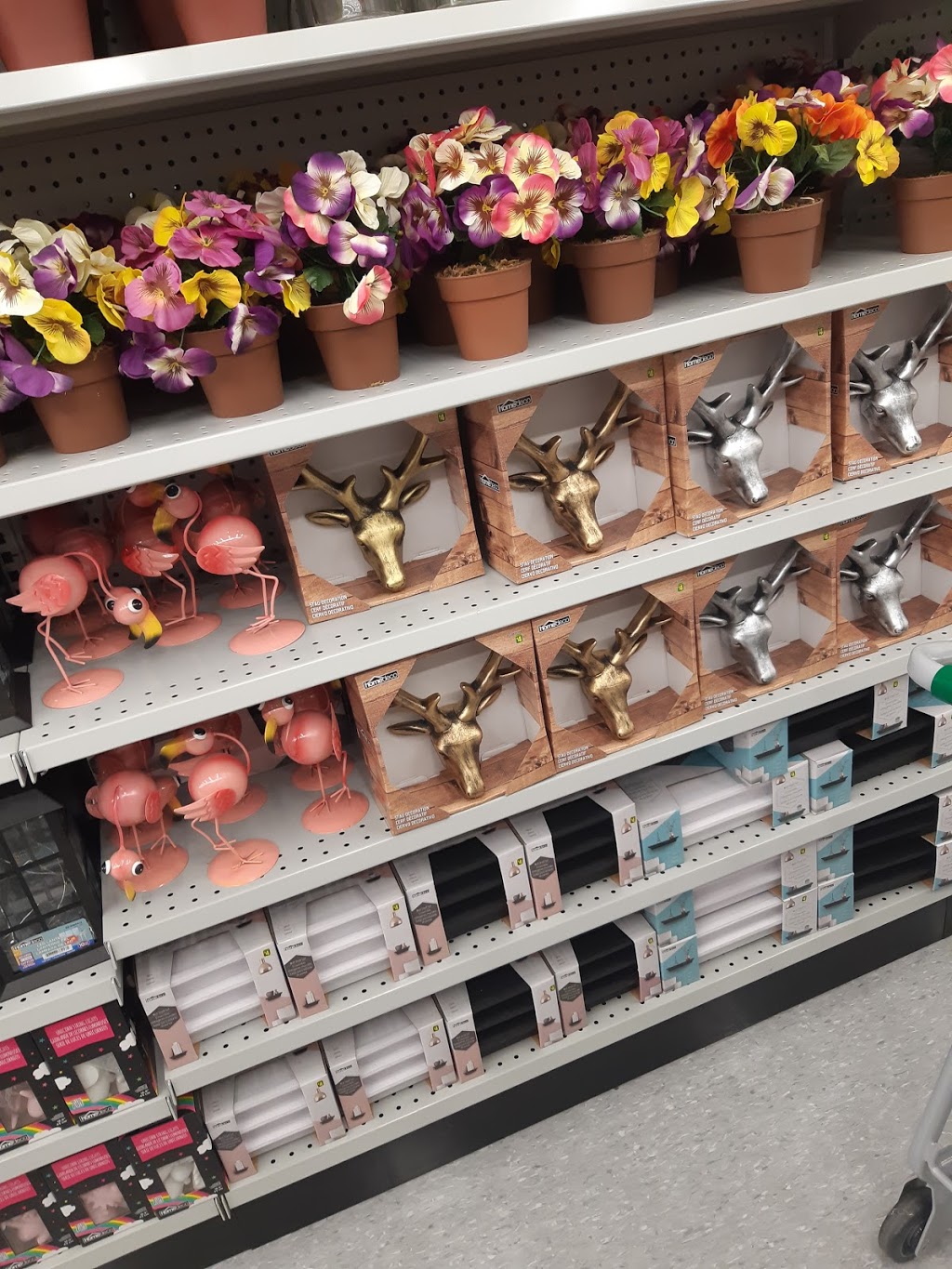 Dollarama | 93 Théophile-Brassard, Coteau-du-Lac, QC J0P 1B0, Canada | Phone: (450) 267-9550
