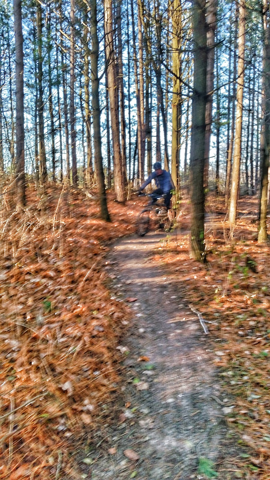 Glen Major Forest | Uxbridge, ON L0C, Canada