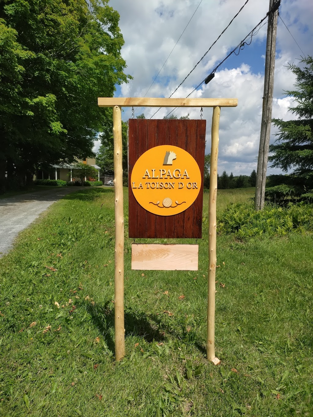 Alpagas la Toison dOr | 429 QC-243, Racine, QC J0E 1Y0, Canada | Phone: (450) 525-3530