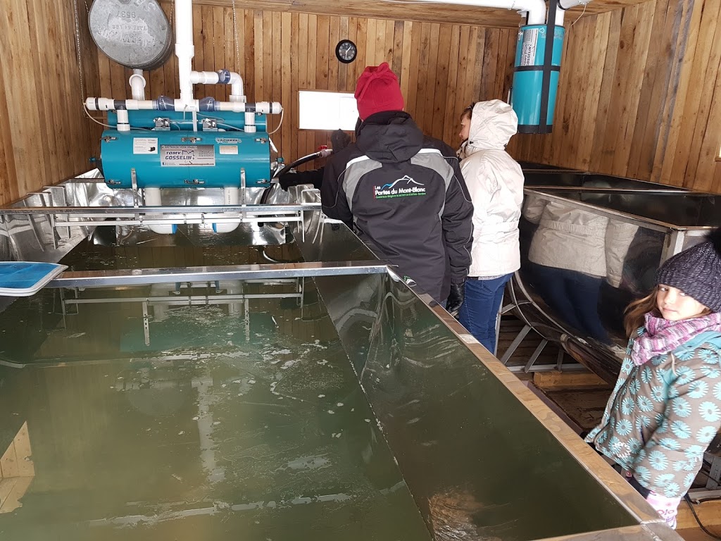 Cabane A Sucre Michel Lapointe | 1095, Rte Fraser, Beauceville, QC G5X 2G8, Canada | Phone: (418) 774-3966