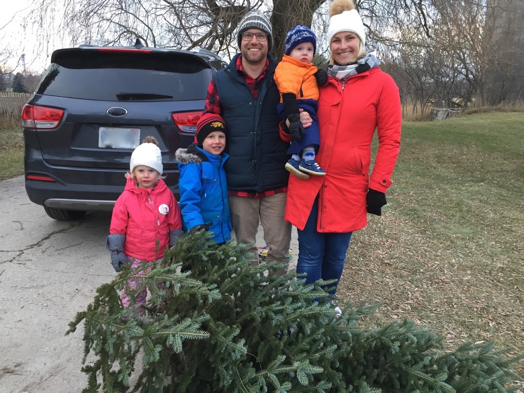 Robinson Christmas Trees | 5873 8 Line E RR#1, Ariss, ON N0B 1B0, Canada | Phone: (519) 824-8399