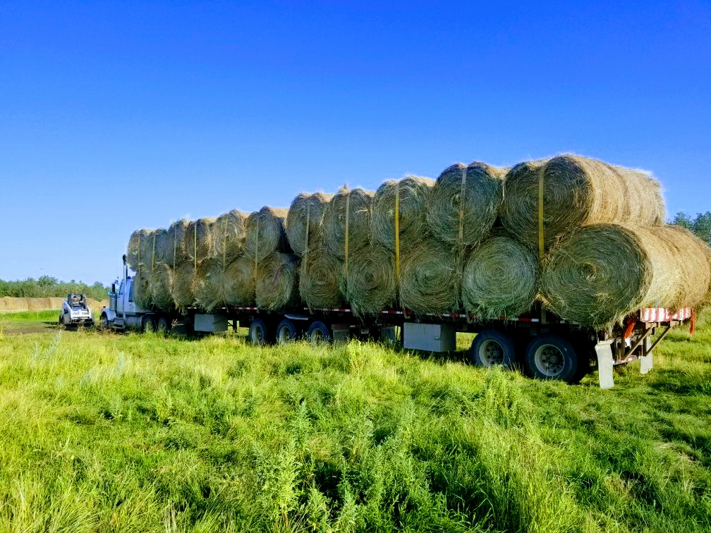 Van Haga Trucking Ltd. | 4607 42 St, Stettler, AB T0C 2L0, Canada | Phone: (403) 323-0060