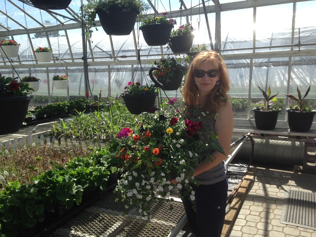 Dieter Martin Greenhouse Ltd | 401 Second Avenue, Langham, SK S0K 2L0, Canada | Phone: (306) 283-4376