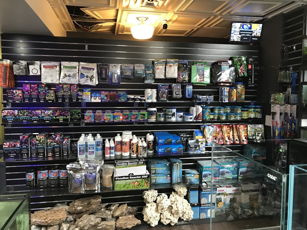 CMA Aquatics Coral | 876 Weston Rd, York, ON M6N 3R6, Canada | Phone: (416) 901-9777