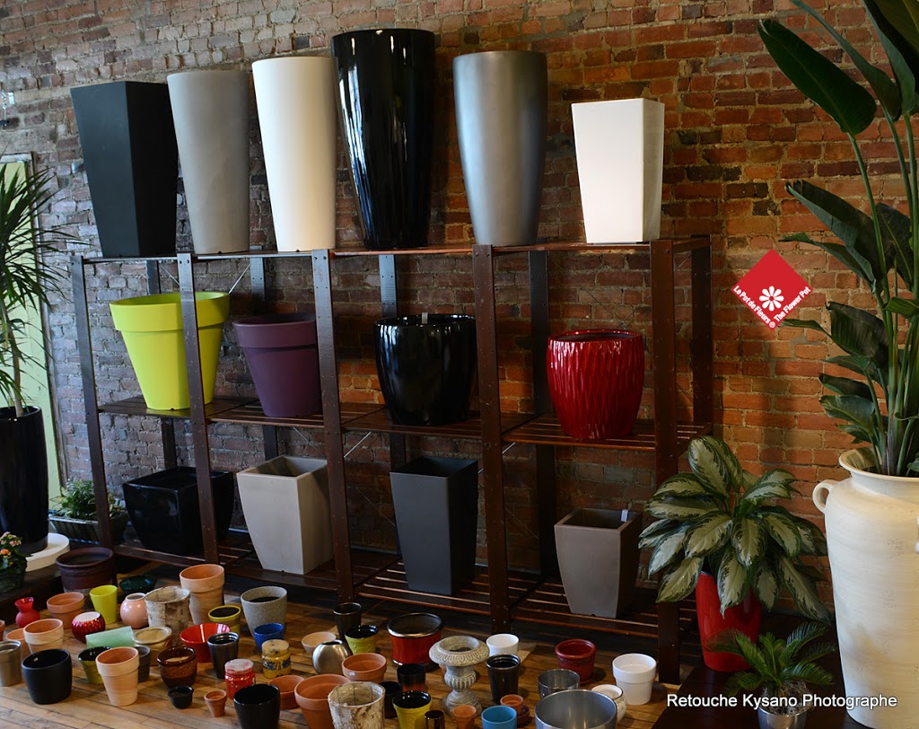The Flower Pot | 2600 Av Pierre-Dupuy #503, Montréal, QC H3C 3R6, Canada | Phone: (514) 938-1234