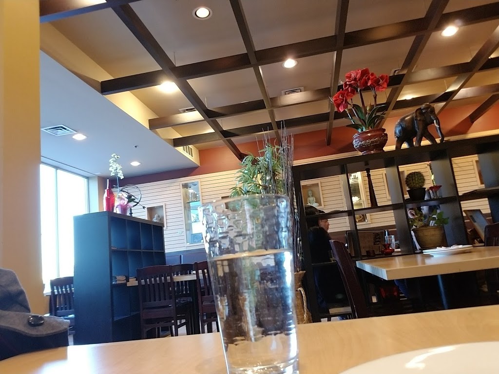 Bamboo Legend | 3145 Dundas St W, Mississauga, ON L5L 4V5, Canada | Phone: (905) 569-3180