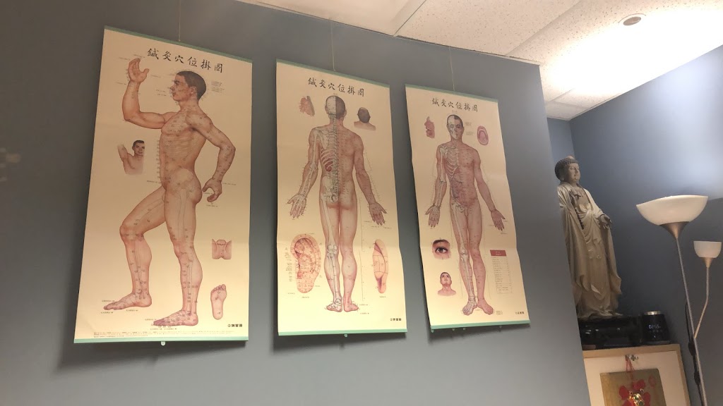 The Tian You Classical Acupuncture Center | #203, 3815 Sunset St, Burnaby, BC V5G 1T4, Canada | Phone: (604) 438-3877