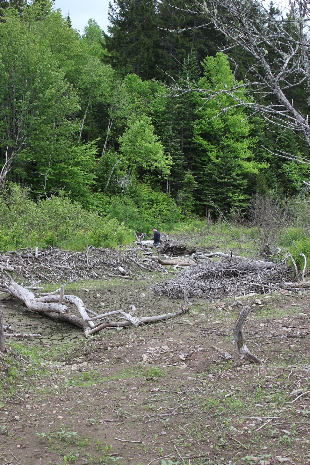 Saint John ATV Club Trail Head | 201 Upper Quaco Rd, Simonds Parish, NB E2S 2T2, Canada | Phone: (506) 657-8470