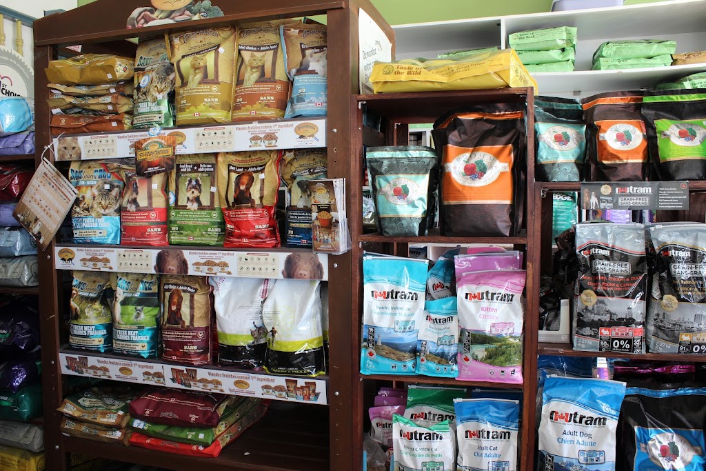 animalerie la fine griffe | 5700 Rue Martineau, Saint-Hyacinthe, QC J2R 1T6, Canada | Phone: (450) 796-4090