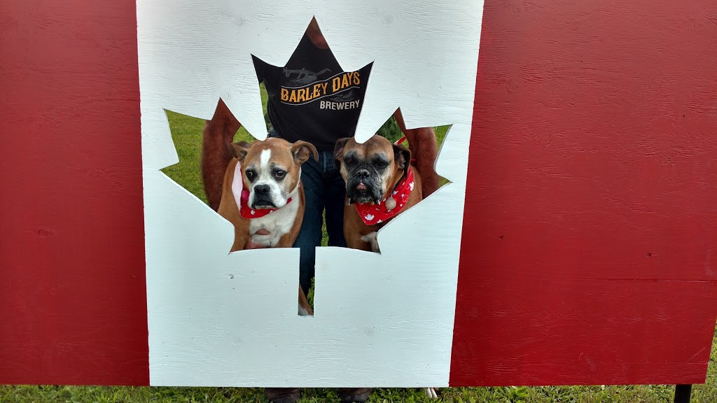 Royal Canadian Legion Branch 160 | 364 Wellington Main St, Wellington, ON K0K 3L0, Canada | Phone: (613) 399-1684