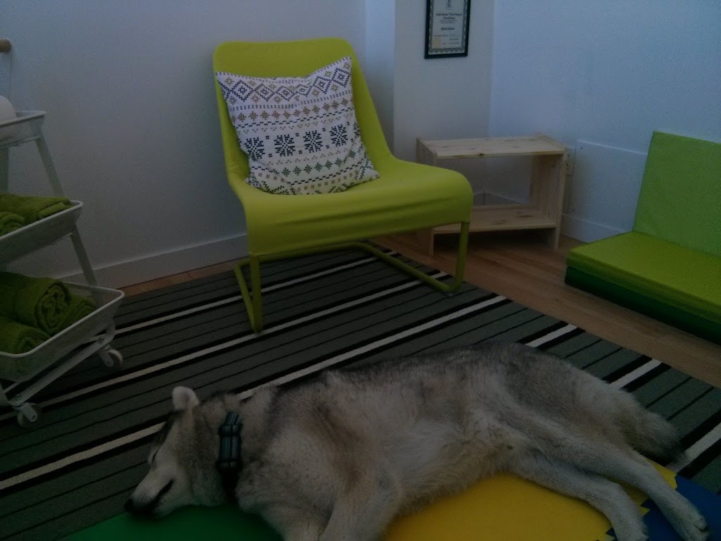 All Paws Massage | Discover Dogs, 701 Kingsway, Vancouver, BC V5T 3K6, Canada | Phone: (604) 700-4107