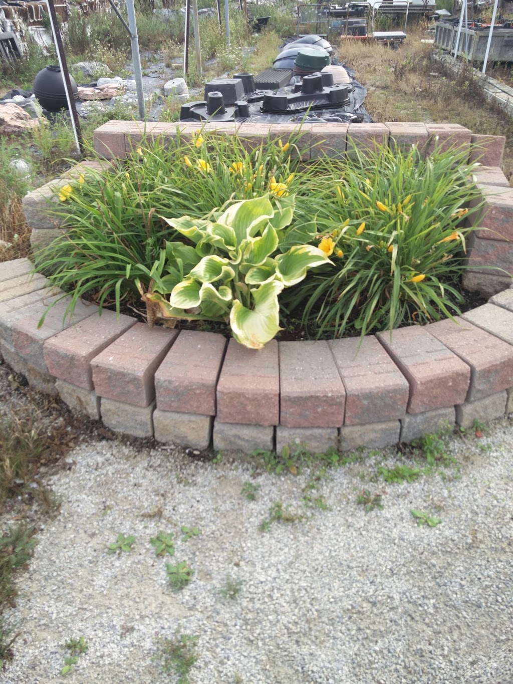 Sids Pond & Gardenscape Inc | 6000 Ninth Line, Mississauga, ON L5N 0C1, Canada | Phone: (905) 824-5104