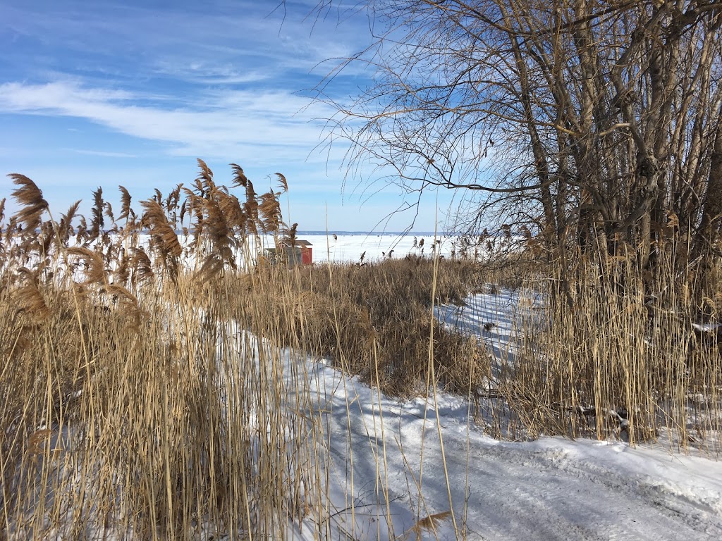 Jimmy Riggin’ Ice Fishing | 136 Erie Blvd, Port Rowan, ON N0E 1M0, Canada | Phone: (519) 586-7990