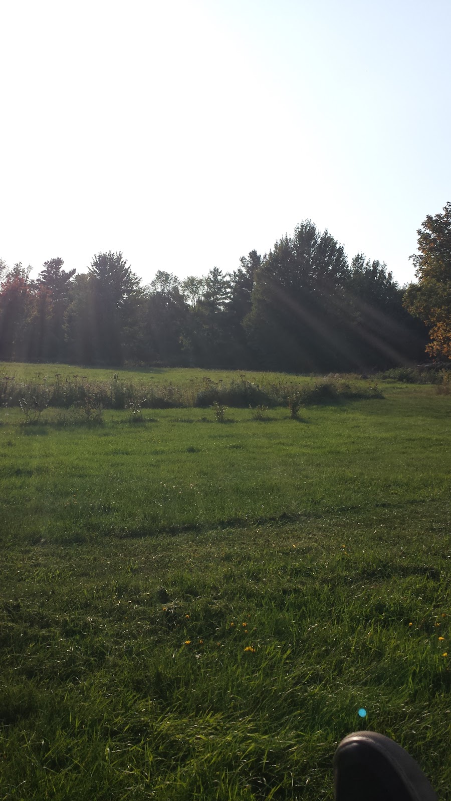 617 Notre Dame | 1R0, Saint-Chrysostome, QC J0S 1R0, Canada | Phone: (514) 347-6516
