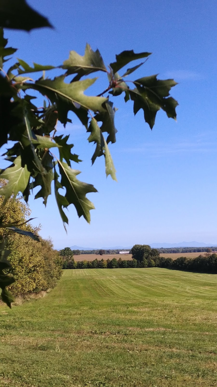 Verger aux hirondelles | 215 QC-221, Le Haut-Richelieu, QC J0J 1J0, Canada | Phone: (514) 917-2720