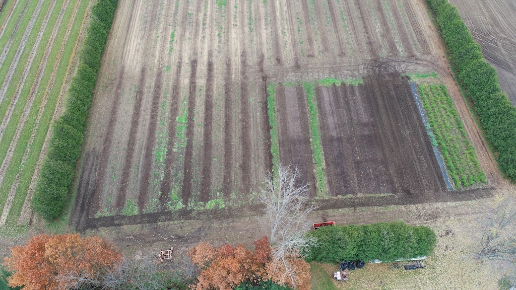 Plaid Shirt Farms Ltd | 225804 Otterville Rd, Otterville, ON N0J 1R0, Canada | Phone: (226) 321-2525