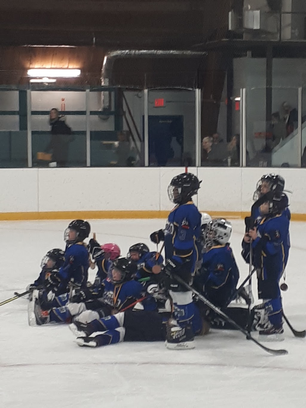 Langton & Area Arena | 30 Albert St, Langton, ON N0E 1G0, Canada | Phone: (519) 875-2709
