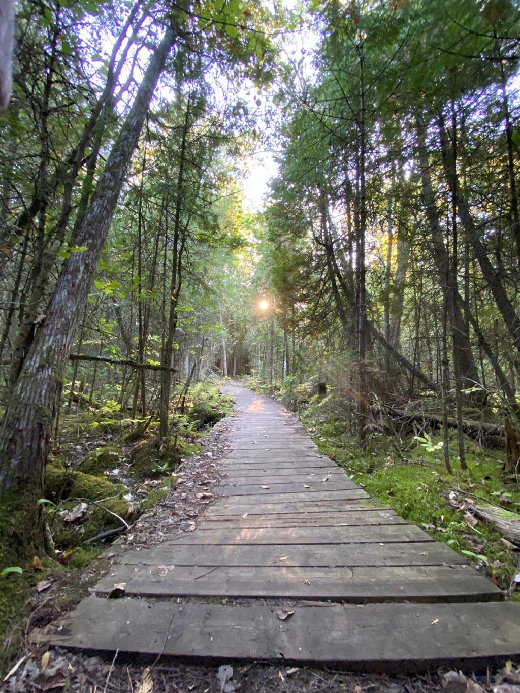 Frink Conservation Area | 381 Thrasher Rd, Plainfield, ON K0K 2V0, Canada | Phone: (613) 968-3434