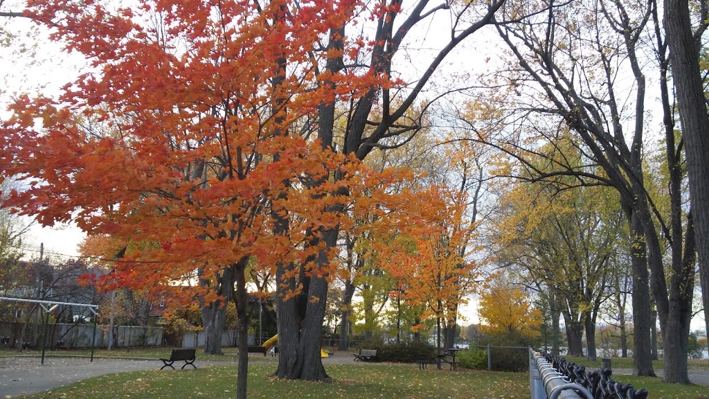 Parc Nicolas-Viel | Montreal, QC H3L 1H9, Canada | Phone: (514) 872-1140
