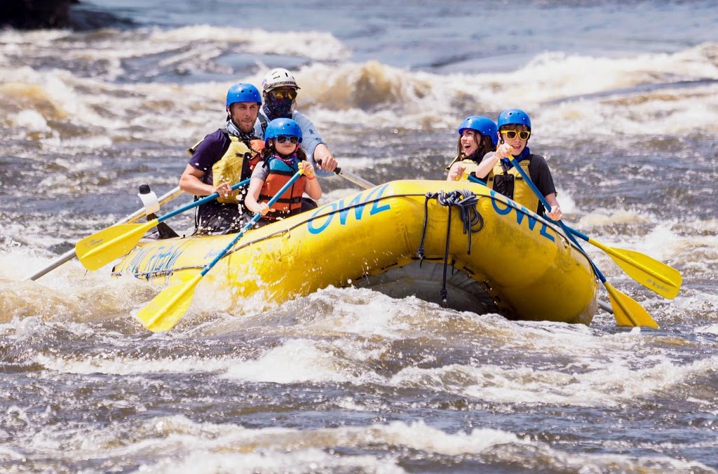 OWL Rafting | 40 owl Ln, Foresters Falls, ON K0J 1V0, Canada | Phone: (800) 461-7238