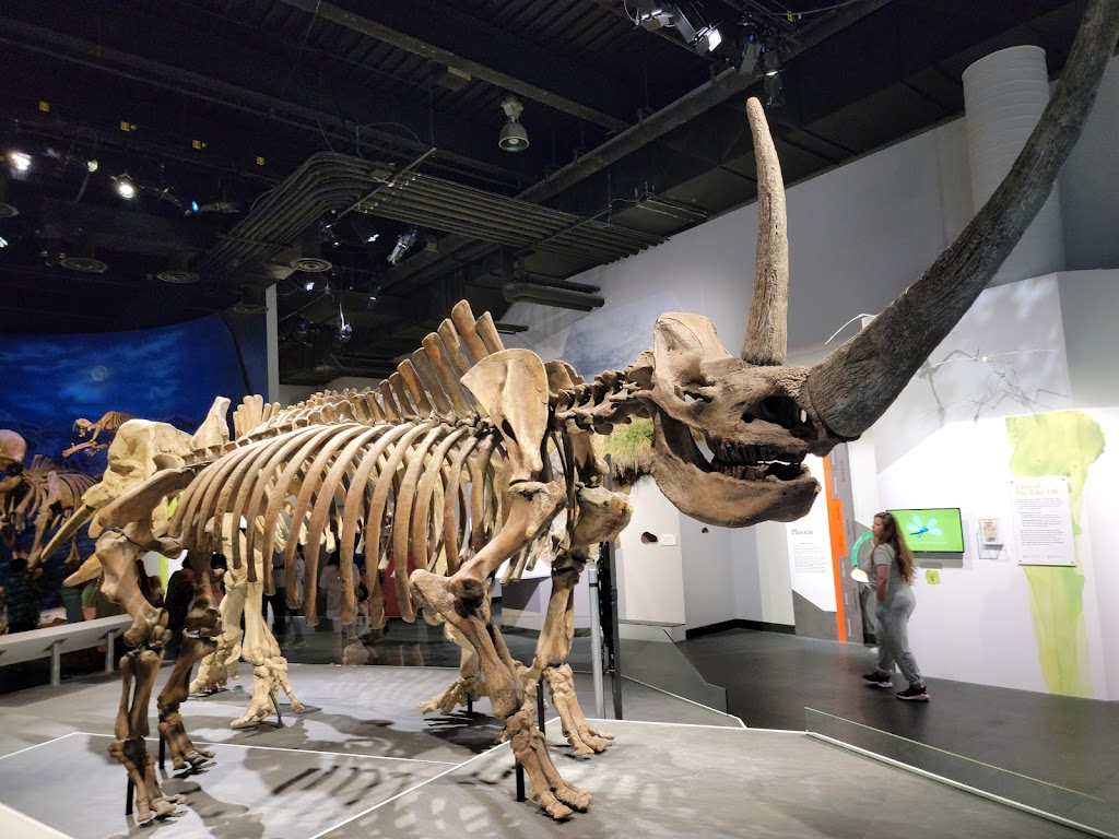 Royal Tyrrell Museum | museum | 1500 N Dinosaur Trail, Drumheller, AB T0J 0Y0, Canada | 4038237707 OR +1 403-823-7707