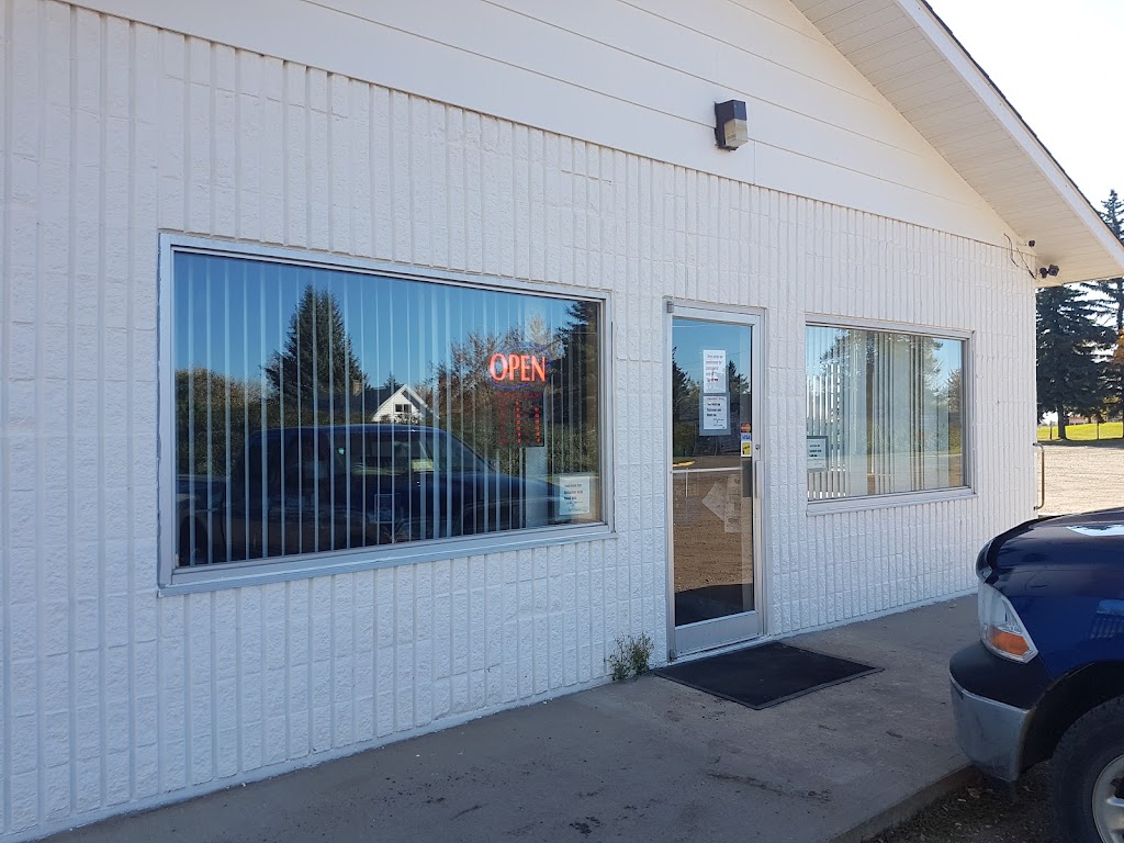 White Goose Family Restaurant | 4601 45 St, Castor, AB T0C 0X0, Canada | Phone: (403) 882-2333