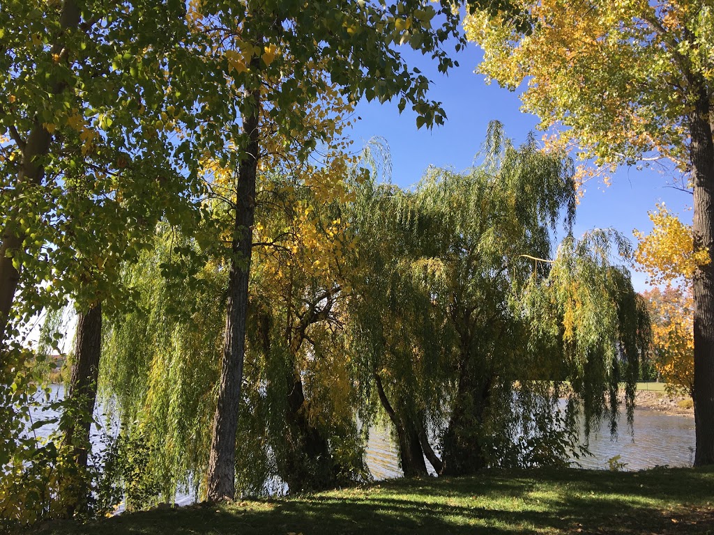 Bertold Park | Rue Churchill, Baie-dUrfé, QC H9X 2Z4, Canada