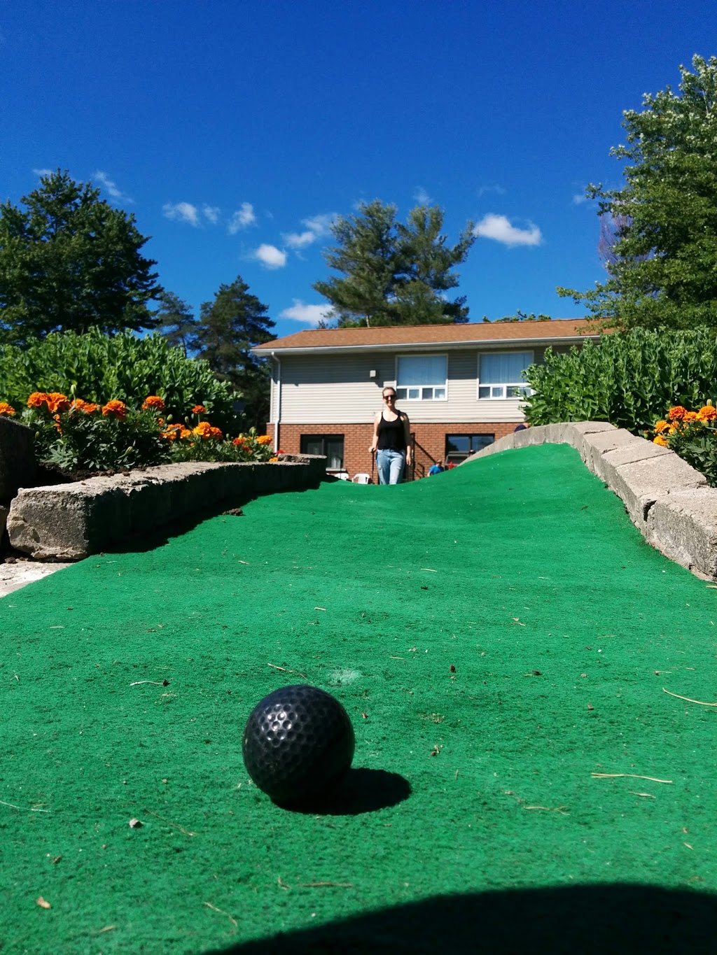 Evergreen Golf Ctr | 3372 Agnew Rd, Washago, ON L0K 2B0, Canada | Phone: (705) 689-5071