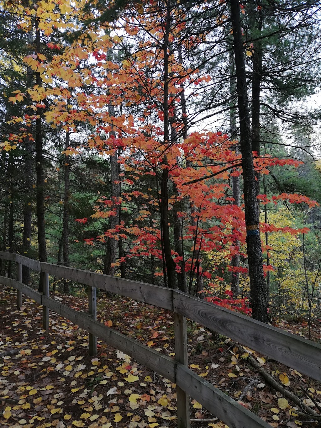 Sentier Sept-Chutes | 991 Rte Centrale #943, Saint-Pascal, QC G0L 3Y0, Canada | Phone: (418) 492-2312