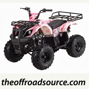 Electric bike sales - ebikes salea | 61 Caster Ave #2, Woodbridge, ON L4L 5Z2, Canada | Phone: (800) 409-0176