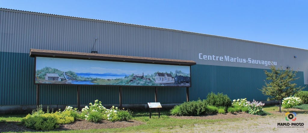 Centre Marius Sauvageau | 82 Rue de la Plaine, Chambord, QC G0W 1G0, Canada | Phone: (418) 342-6274