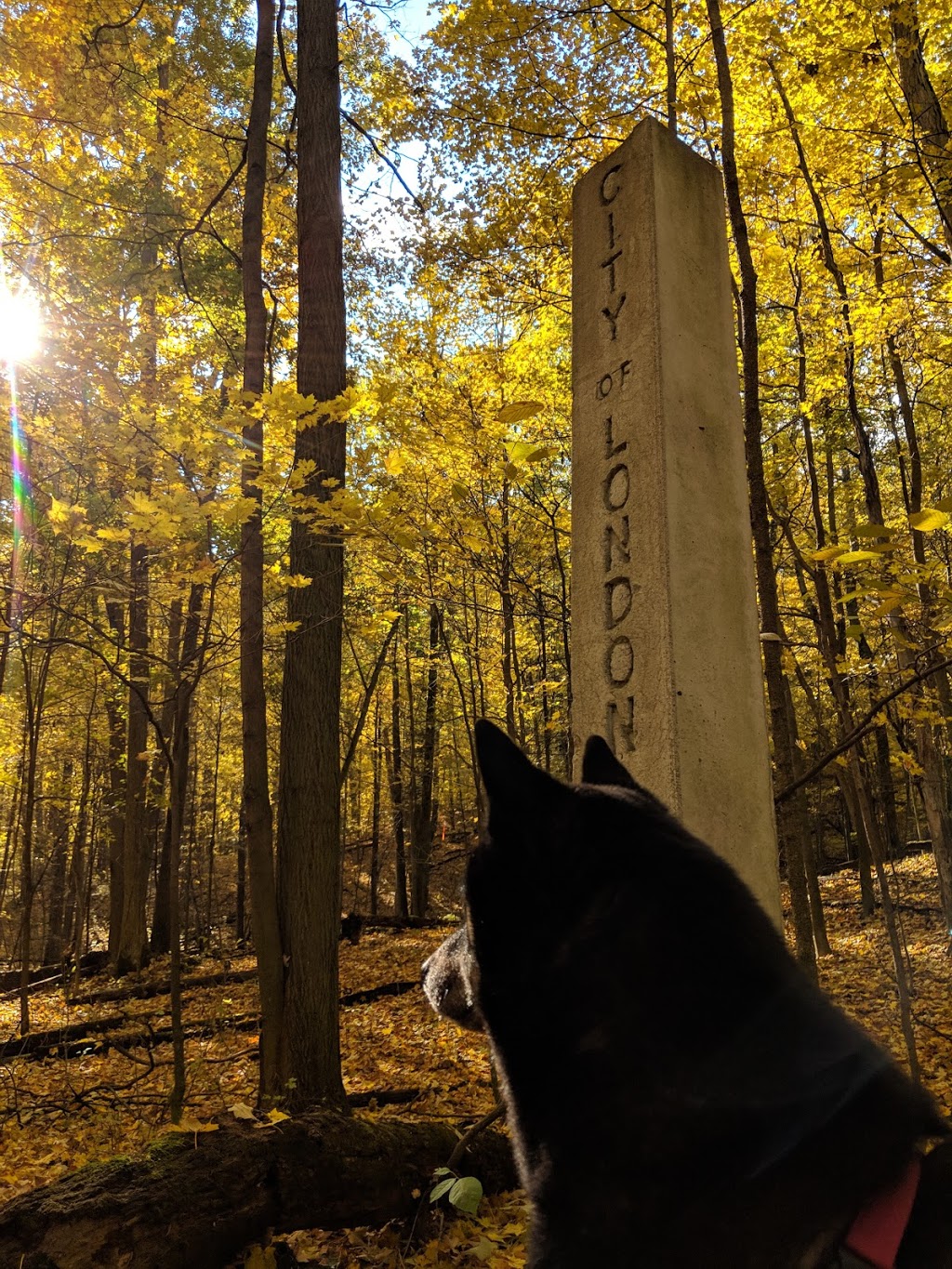 Warbler Woods | 1952-1968 Commissioners Rd W, London, ON N6K 4P4, Canada