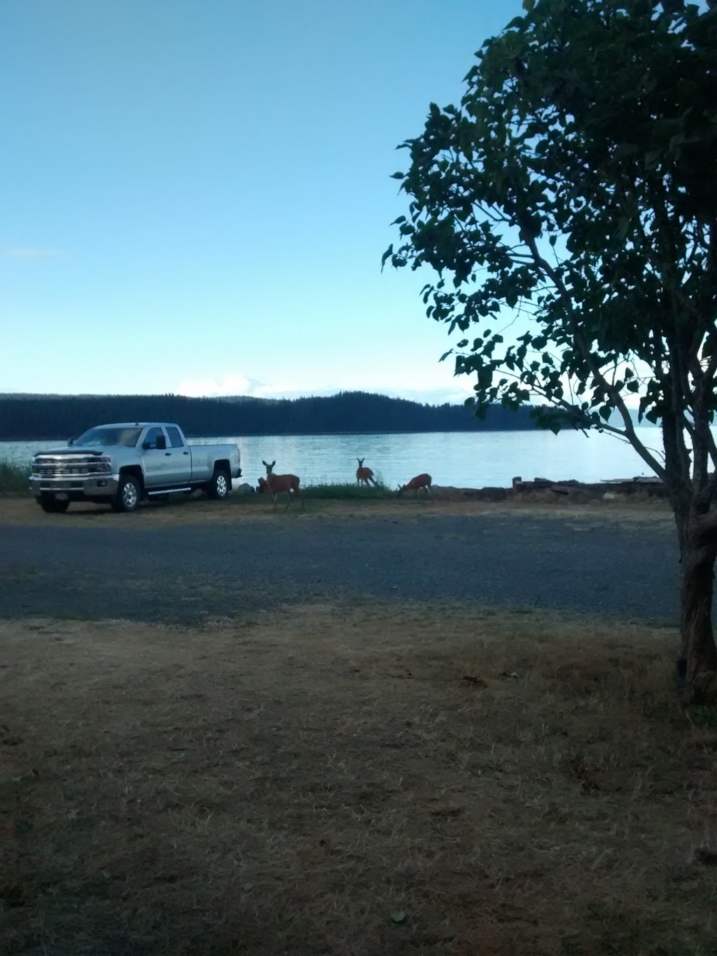 Deep Bay RV Park | 5315 Deep Bay Dr, Bowser, BC V0R 1G0, Canada | Phone: (250) 757-8424