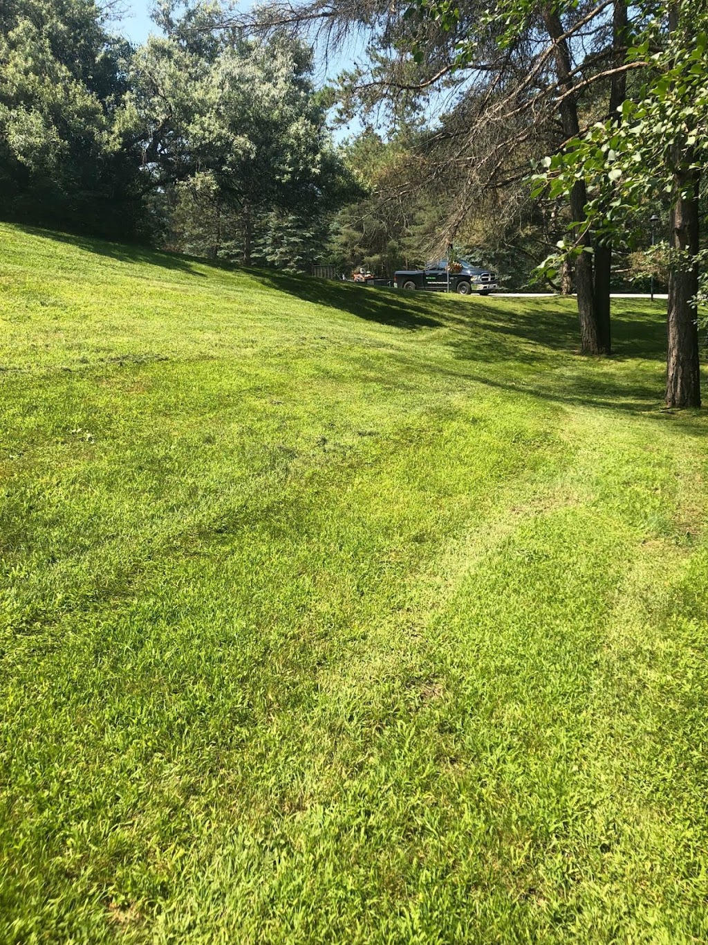 CKl Grass Cutting & Snow Removal | point of interest | 785 McLaren St, Newmarket, ON L3Y 8H3, Canada | 2897169253 OR +1 289-716-9253