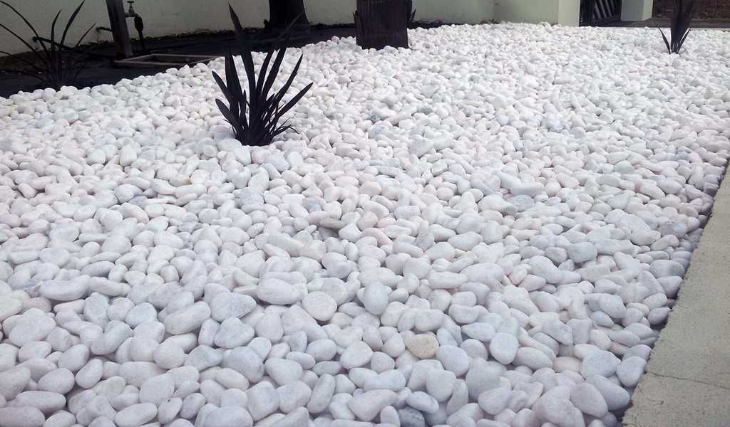 Kasa Landscape Supply Ltd. | 3387 McCallum Rd, Abbotsford, BC V2S 7W6, Canada | Phone: (604) 744-3136