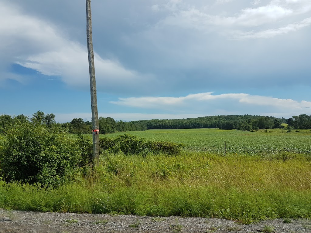Roseneath Kennels | 12365 County Rd 24, Roseneath, ON K0K 2X0, Canada | Phone: (905) 352-2614