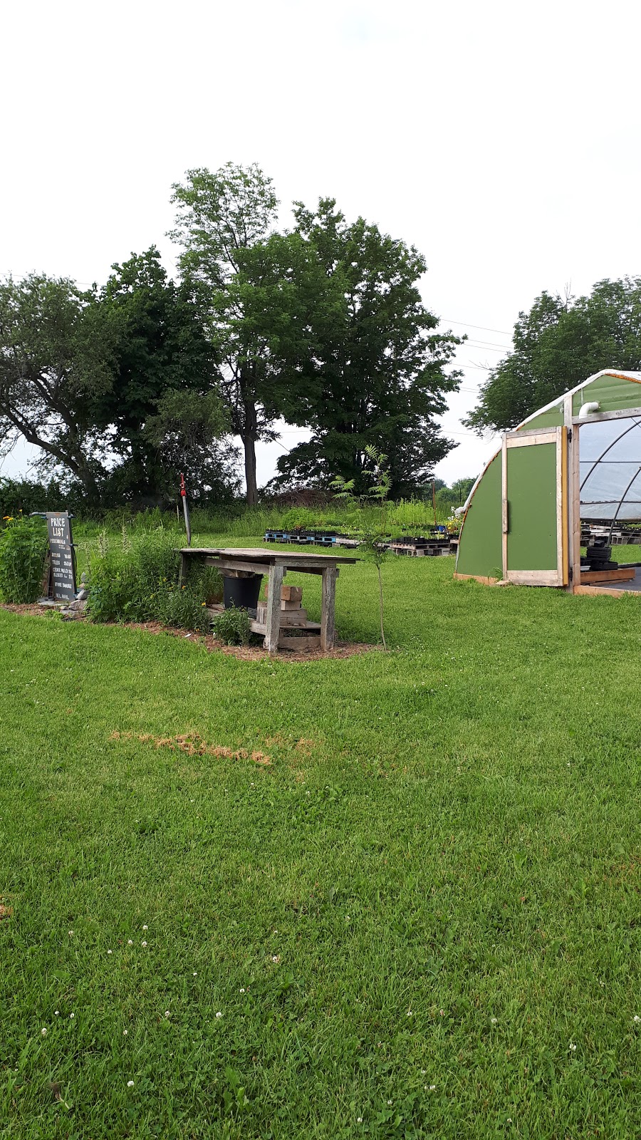 Green Side Up Environmental Services | 121 Grassy Rd, Omemee, ON K0L 2W0, Canada | Phone: (289) 892-2827
