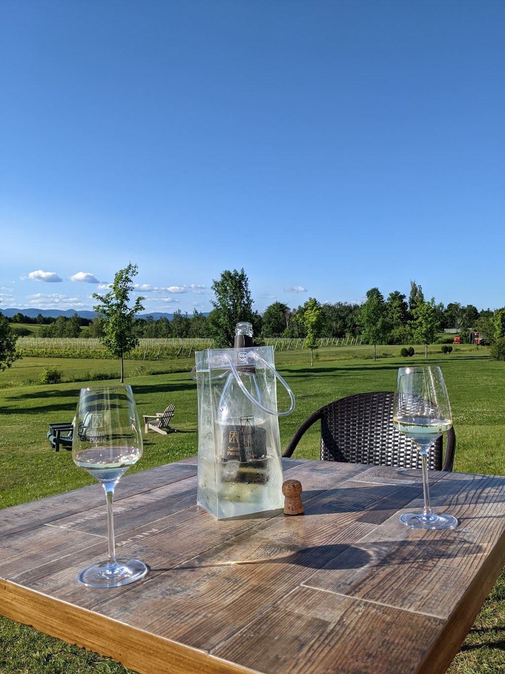 Saint Pierre Le Vignoble | 1007 Chem. Royal, Saint-Pierre, QC G0A 4E0, Canada | Phone: (418) 991-1007